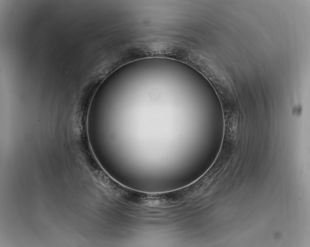 X0000097900746200803211441