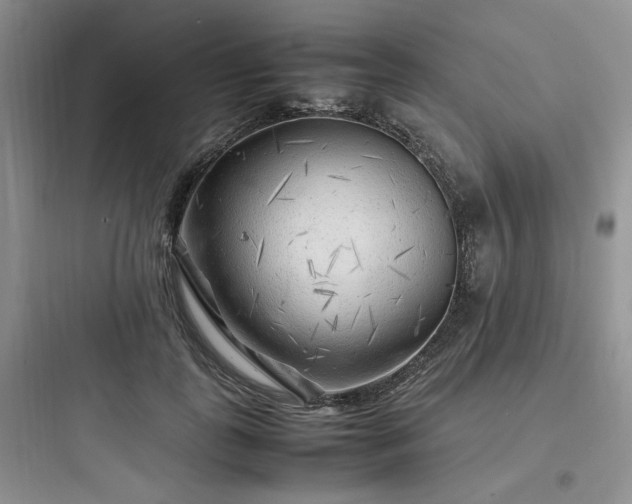 X0000097900747200803211441