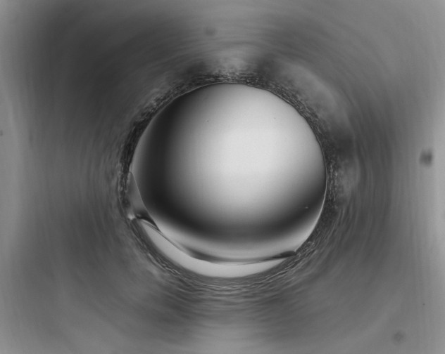 X0000097900750200803211441