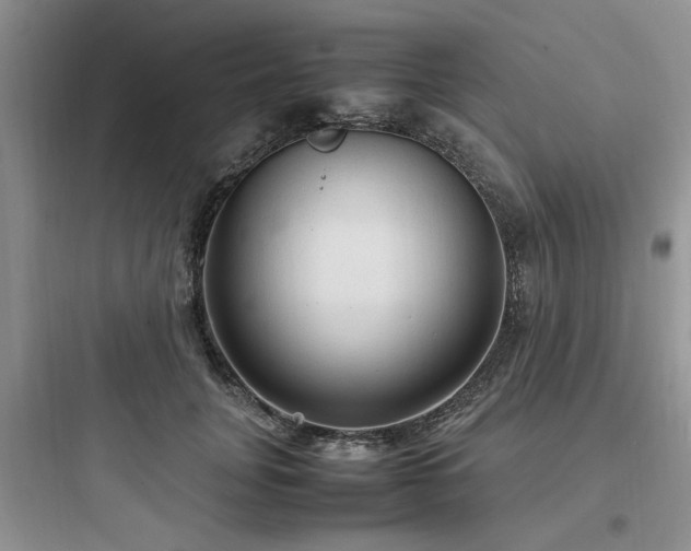 X0000097900751200803211441