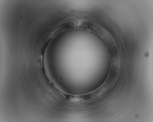 X0000097900754200803211441