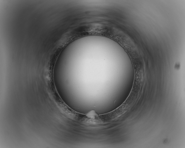 X0000097900755200803211441