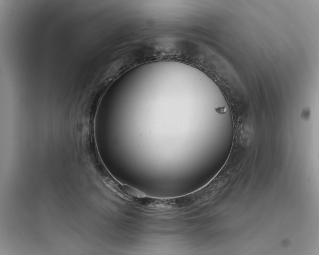 X0000097900756200803211441