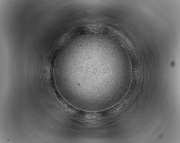 X0000097900757200803211441