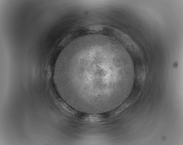 X0000097900758200803211441