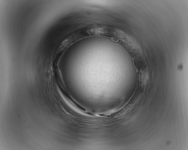X0000097900760200803211441