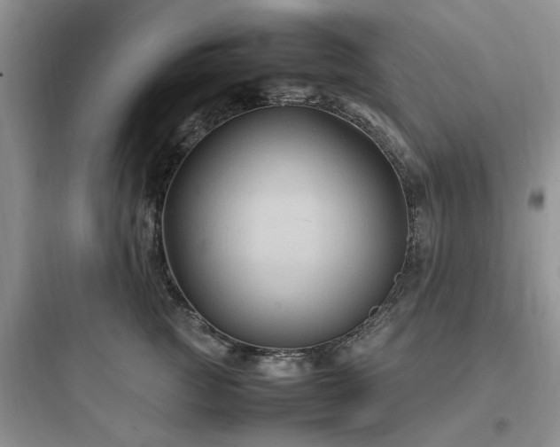 X0000097900761200803211441