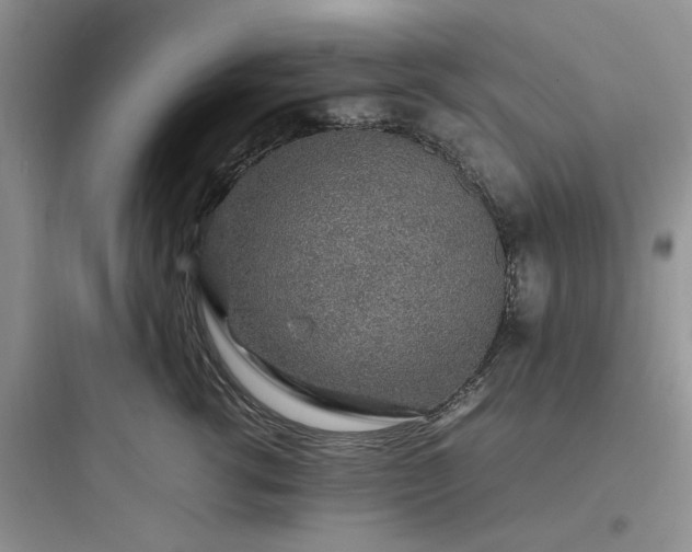 X0000097900762200803211441