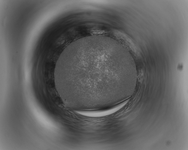 X0000097900763200803211441