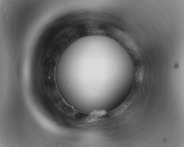 X0000097900764200803211441