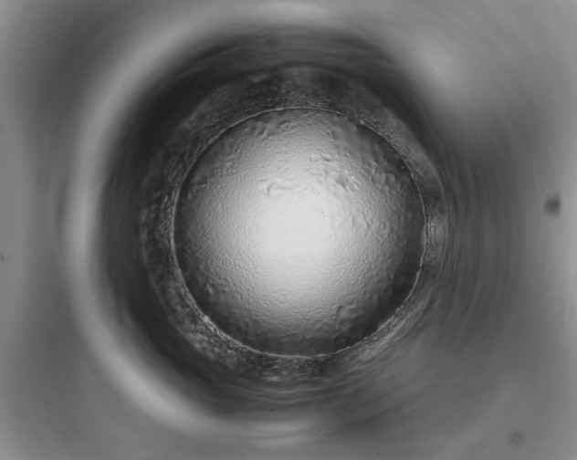 X0000097900765200803211441