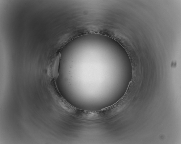 X0000097900768200803211441