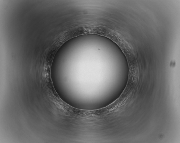 X0000097900770200803211440
