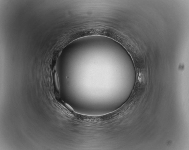 X0000097900771200803211440