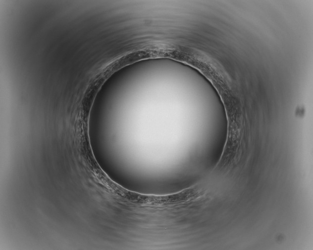 X0000097900773200803211440