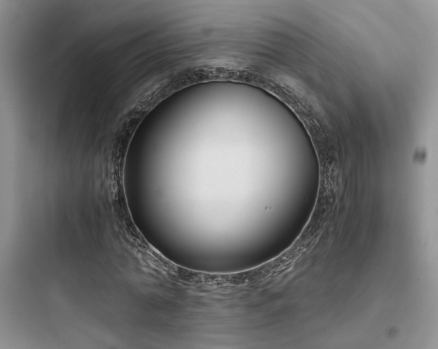 X0000097900774200803211440