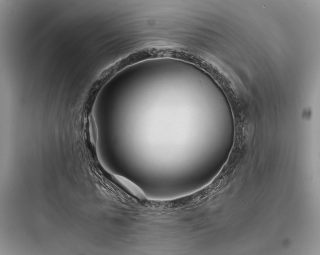X0000097900775200803211440