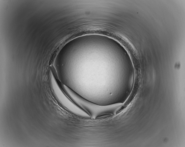 X0000097900777200803211440
