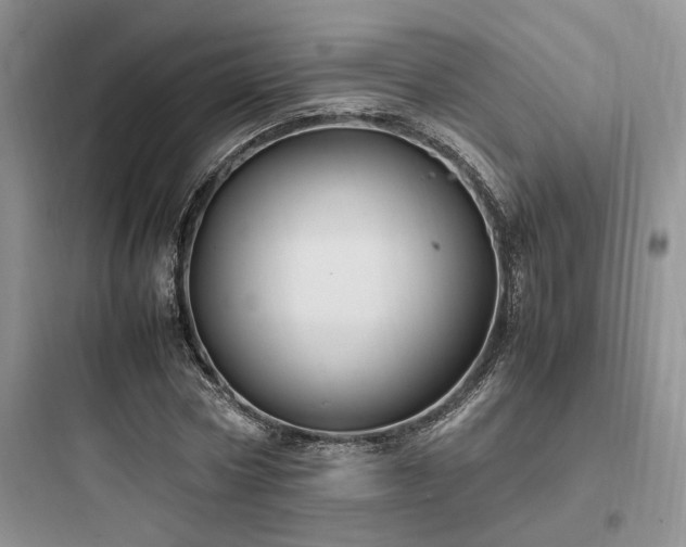 X0000097900778200803211440