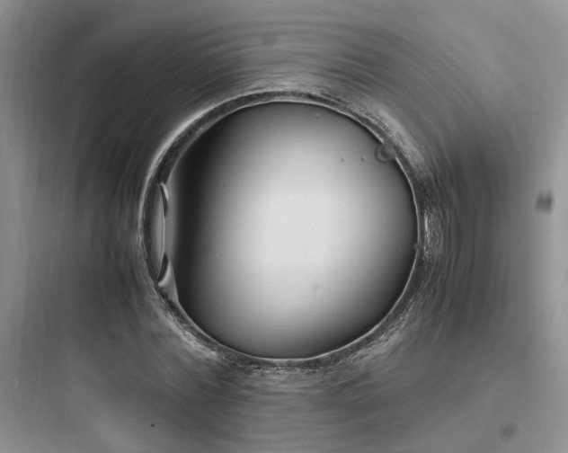 X0000097900780200803211440