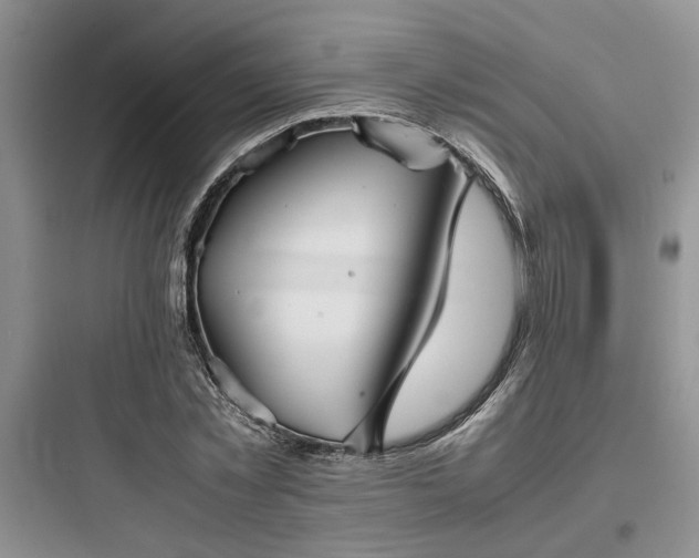 X0000097900781200803211440