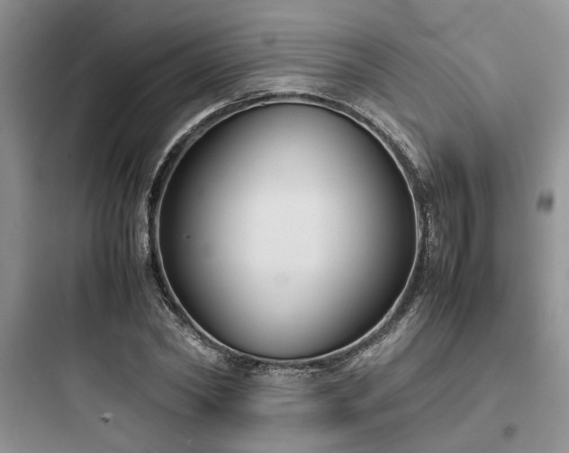 X0000097900782200803211440