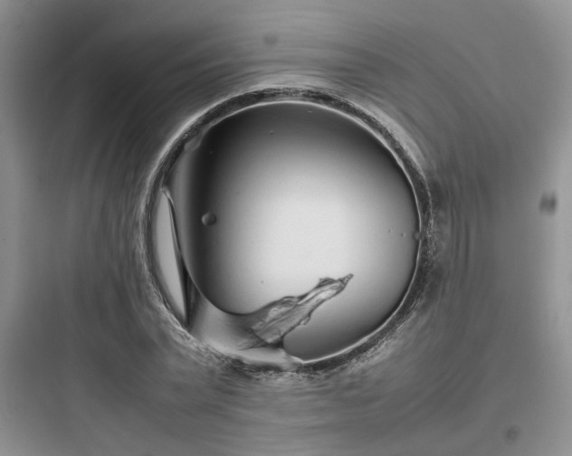 X0000097900783200803211440