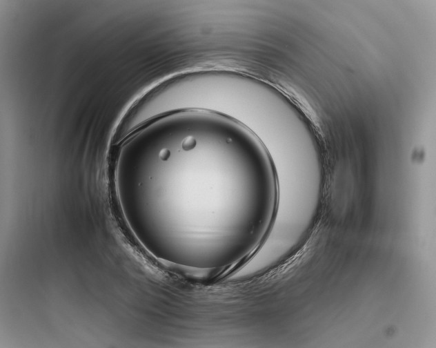 X0000097900784200803211440
