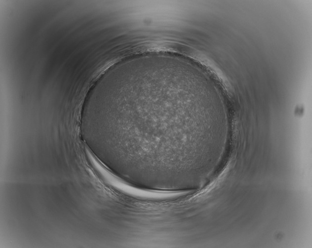 X0000097900785200803211440