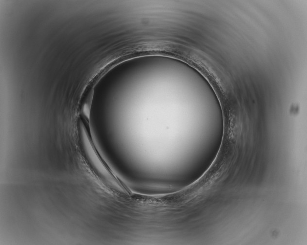 X0000097900786200803211440