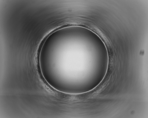 X0000097900787200803211440