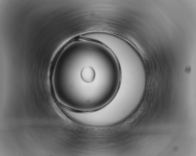 X0000097900788200803211440