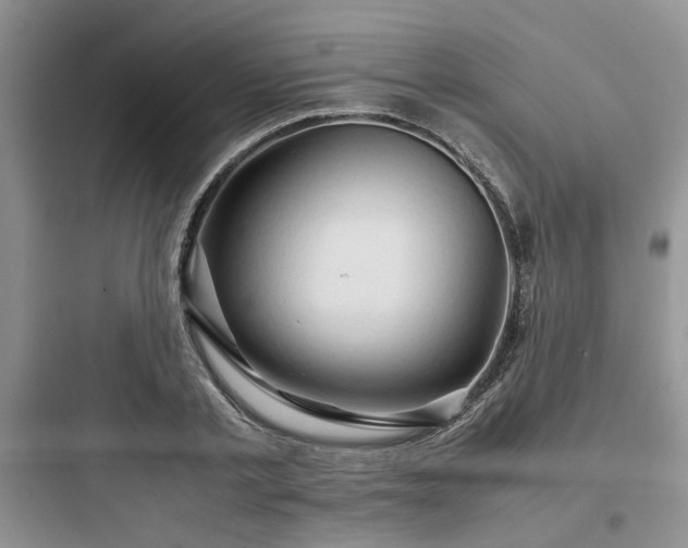 X0000097900789200803211440