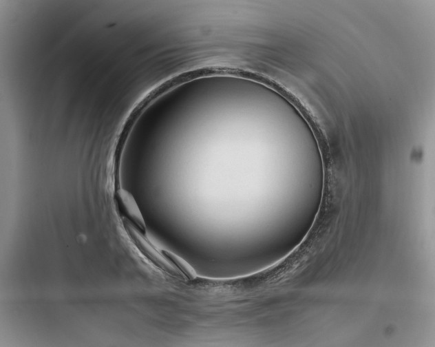 X0000097900791200803211440