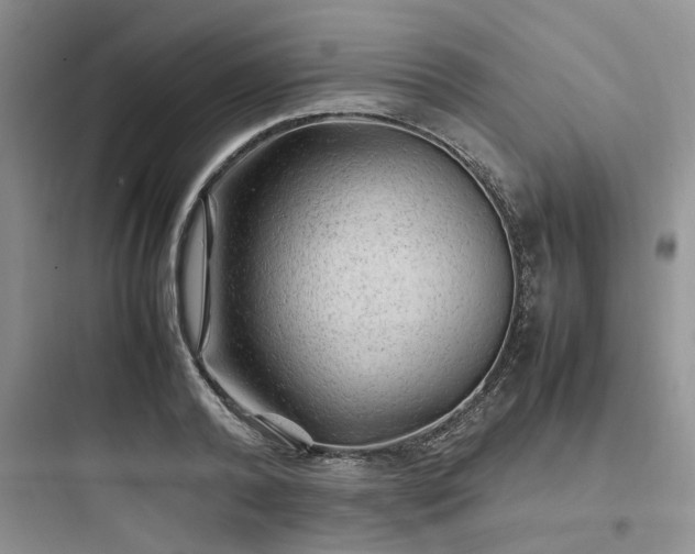 X0000097900792200803211440