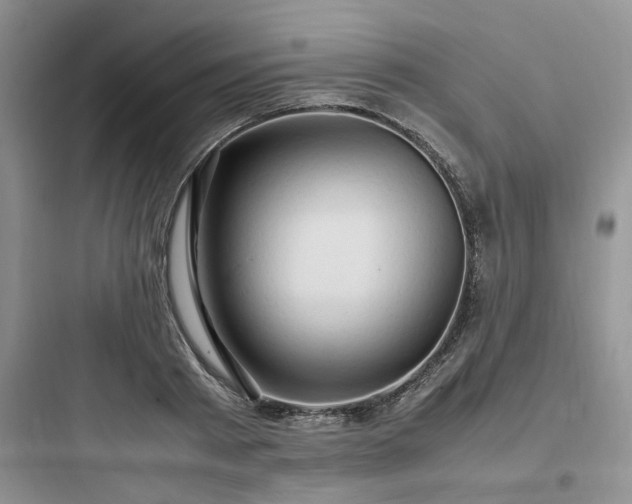X0000097900793200803211440