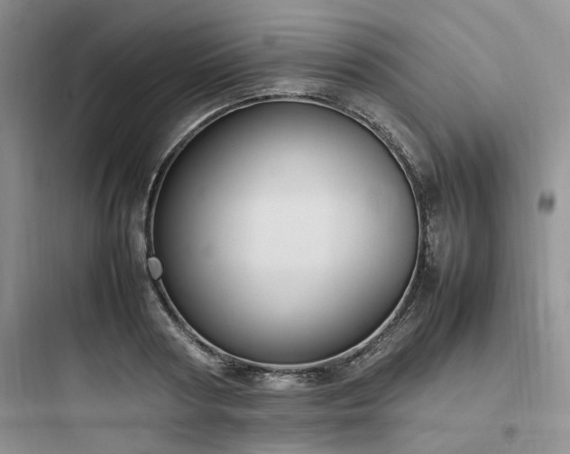 X0000097900794200803211440
