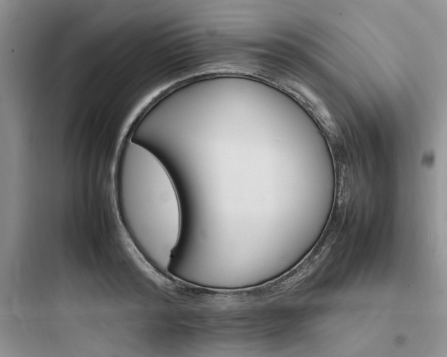 X0000097900796200803211440