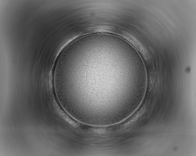 X0000097900798200803211440