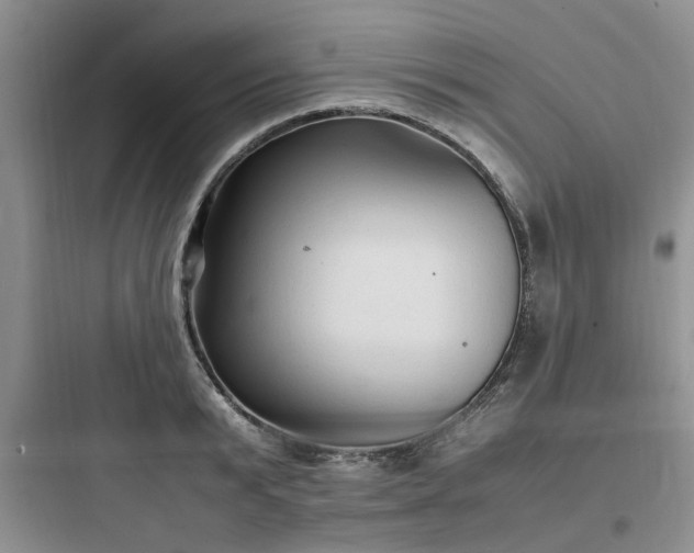 X0000097900799200803211440