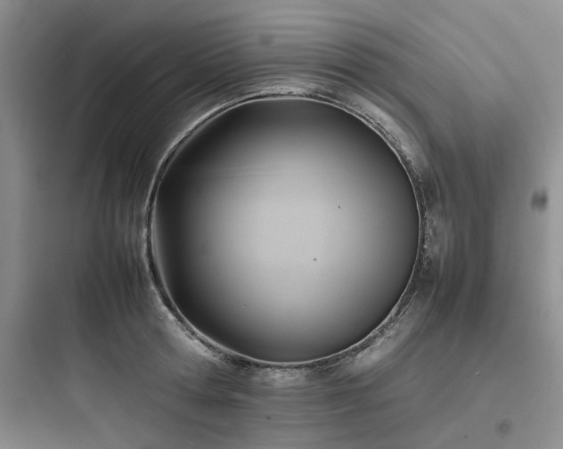 X0000097900802200803211440