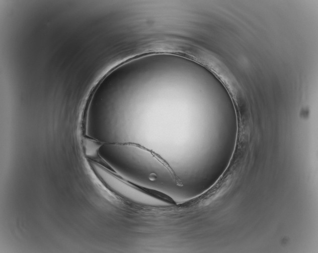 X0000097900803200803211440