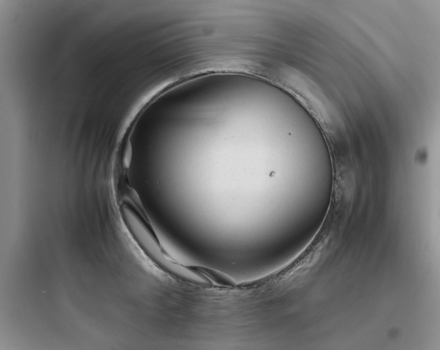 X0000097900804200803211440