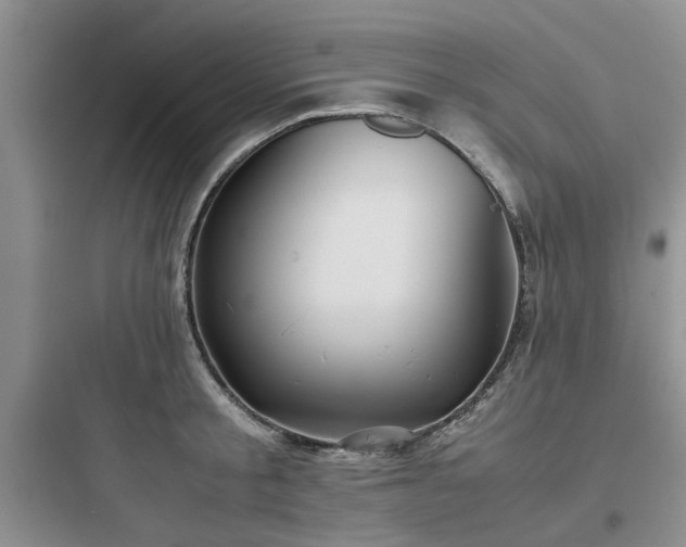 X0000097900805200803211440