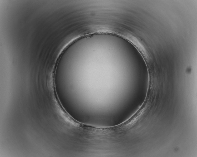 X0000097900806200803211440