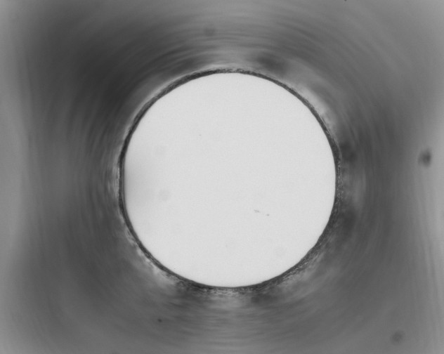 X0000097900807200803211440