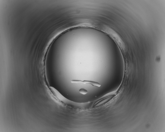 X0000097900808200803211440