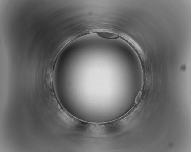 X0000097900809200803211440