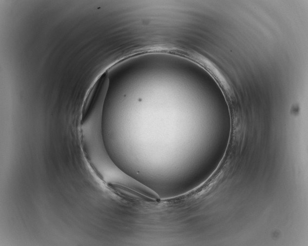 X0000097900810200803211440