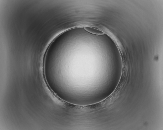 X0000097900811200803211440